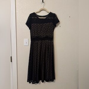 Perceptions Black and Tan A-Line Midi Dress